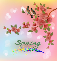 Nature background with blossom branch of pink sakura flowers. Vector template isolated