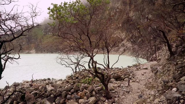 Kawah Putih white Crater shore with dry trees