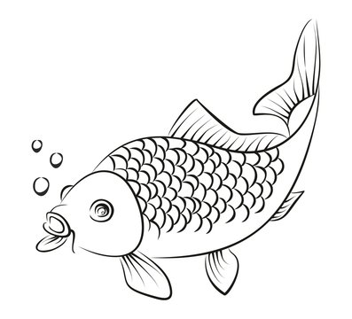 Набросок рыбы