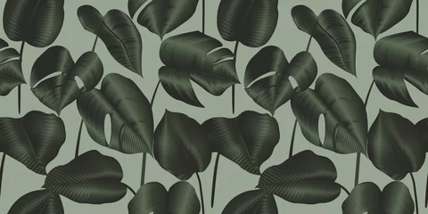 Zelfklevend Fotobehang Tropical plant seamless pattern, Philodendron silk leaves © momosama