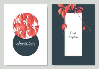 Behangcirkel Red Japanese maple Acer palmatum with circle and rectangle frame, invitation card template design © momosama