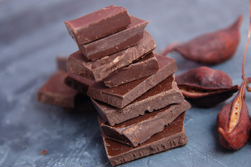 Chocolates Pieces Isolated on Gray Background. Chocolate. Fine Pieces of Chocolates. Chocolate Sweets. Horizontal image.