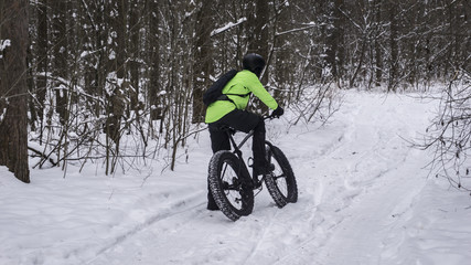 Fat bike also called fat bike or fat-tire bike - Cycling on large wheels in the winter forest.