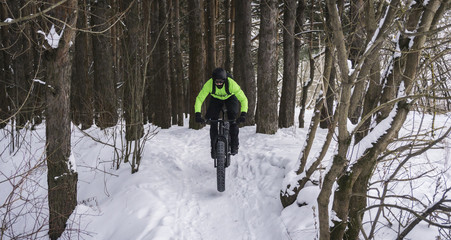 Fat bike also called fat bike or fat-tire bike - Cycling on large wheels in the winter forest.