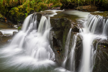 Fototapeta na wymiar Beautiful cascades of Clare Glens in Ireland