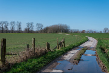 Fototapeta premium countryside