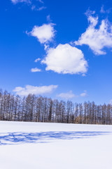 北の大地の雪景色