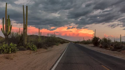 Fototapete Naturpark Die magische Landschaft im Saguaro National Park, Panoramic Road bei Sonnenuntergang, Tucson, Arizona.