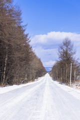 北の大地の白い雪道