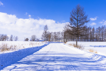 北の大地の白い雪道