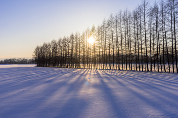 厳冬期の雪原に沈む夕陽