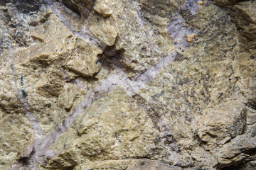 Crystalls of piryte at quartz and listvinite sample specimen gold ore