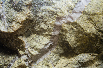 Crystalls of piryte at quartz and listvinite sample specimen gold ore