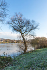 lake with tree in winter