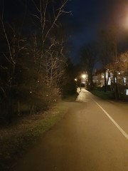 Droga w nocy - obrazy, fototapety, plakaty