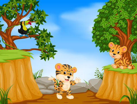 two tiger and toucan with mountain cliff scene
