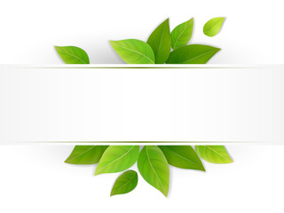 Obraz premium Eco banner with fresh green leaves. Blank with place for text. Realistic vector.