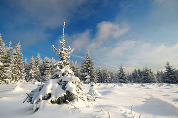 Fototapeta na wymiar Winter im Mittelgebirge