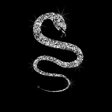 A sparkling sparkling snake icon. Year of the snake. Chinese calendar. Effect of diamond. Transparent silver jewelry sign.