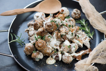 Fried champignon and chanterelle mushrooms in sour cream on a metal pan, selective focus, close-up, studio shot