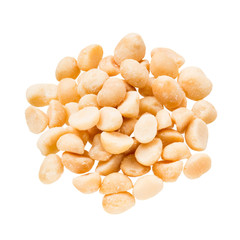 Macadamia nuts isolated on white background