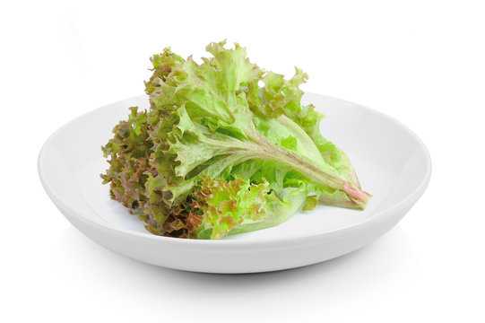 lettuce leaves in plate on white background