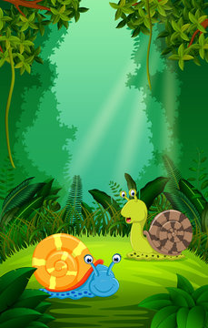 Snail in the clear and green forest