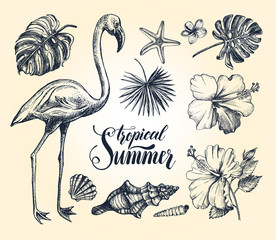 Summer set. Ink hand drawn collection of tropical plants leaves, flowers, seashells, flamingo bird. Botanical, tropical elements for design with brush calligraphy style lettering, Vector illustration.