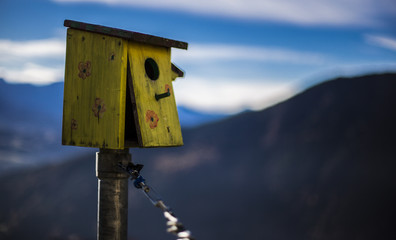 Nido di uccelli in legno colorato