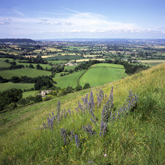England, Cotswolds, Gloucestershire, Coaley Peak viewpoint near Nympsfield, the view over Severn...