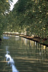 Fototapeta premium First signs of autumn on the tree lined canal Canal du Midi at Capestang, Herault, France