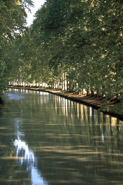 First signs of autumn on the tree lined canal  Canal du Midi at Capestang, Herault, France