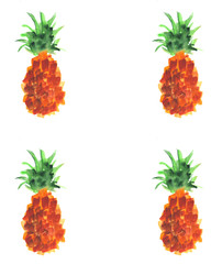 Decorative frame of pineapple fruits.