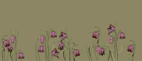 
A small flower with a chess pattern of burgundy color. Spring flowering Fritillaria
