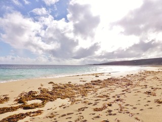 Beach Australia