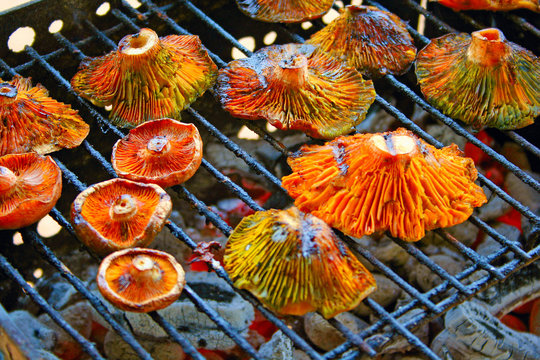 Mushrooms on the barbecue