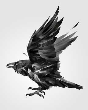 painted isolated flying bird raven on the side