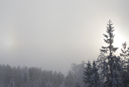 Foggy and mystical winter forest in Finland. Sunrise or moonshine on the background. © Jne Valokuvaus