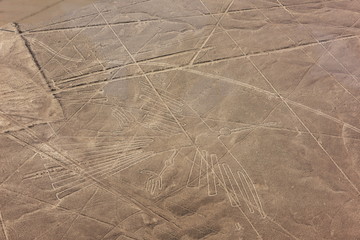 Nazca lines from the aircraft- hummingbird