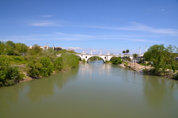 Fototapeta na wymiar Flaminio bridge on the Tiber river, Rome, Italy. 
