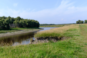 View of the river bank and wood