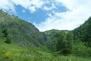 View on the wood and ridges