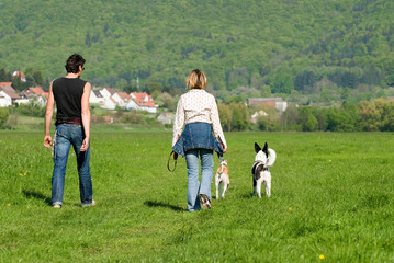 Sommerlicher Spaziergang mit Hunden