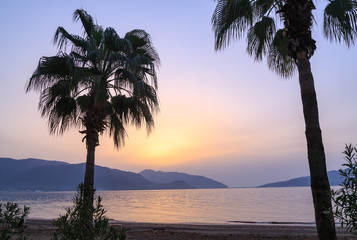 Fototapeta na wymiar Palm tree silhouettes during sunrise in Marmaris, Turkey