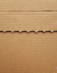 A serrated piece of cardboard on top of another sheet of cardboard as a background with texture