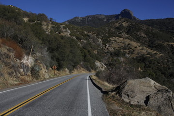 Driving in Sequoia National Park