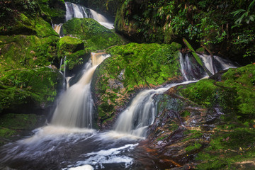 Pelaur camp waterfall with mossy rock and clean water, when heading toward to peak mount yong belar,malaysia