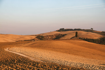 Fototapeta na wymiar Siena, Tuscany, Italy, Crete Senesi, Asciano, Landscape, Summer