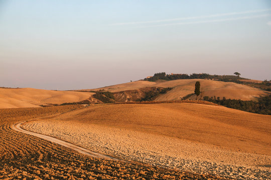 Siena, Tuscany, Italy, Crete Senesi, Asciano, Landscape, Summer