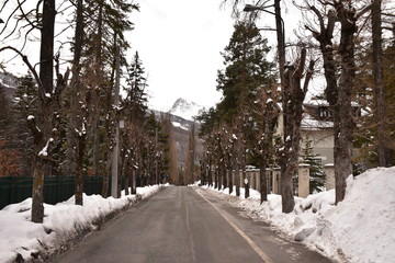 Viale di Bardonecchia